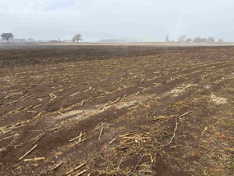 Tiny photo for N9170 Schultz Road, Van Dyne, WI 54979 (MLS # 2012751)