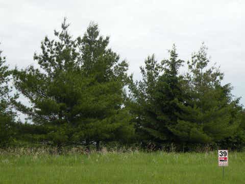 Featured picture for the property 1737612