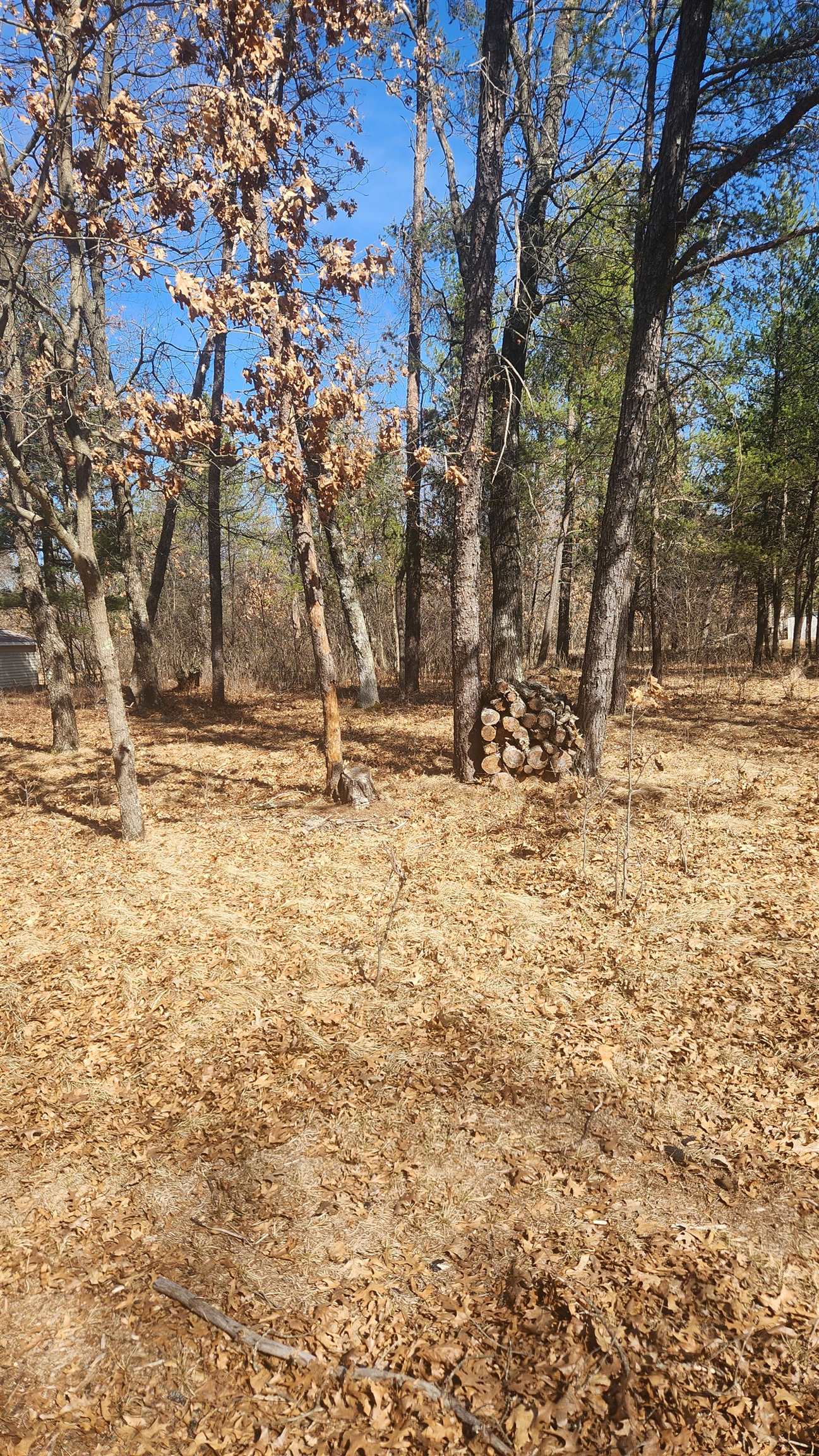 1584 Kingswood Trail - Photo 2