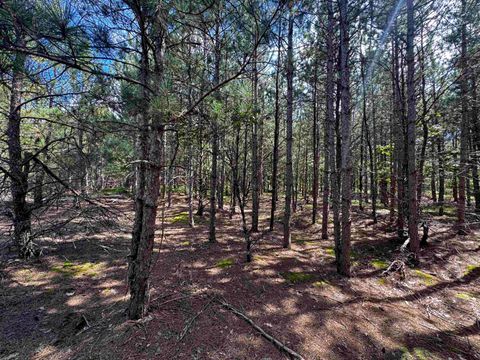 Tiny photo for 40 AC Browndeer Dr W Acres, Arkdale, WI 54613 (MLS # 2009950)