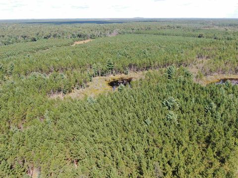 Photo of 40 AC Browndeer Dr W Acres, Arkdale, WI 54613 (MLS # 2009950)