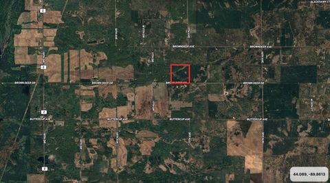 Tiny photo for 40 AC Browndeer Dr W Acres, Arkdale, WI 54613 (MLS # 2009950)