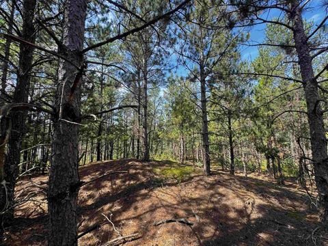 Tiny photo for 40 AC Browndeer Dr W Acres, Arkdale, WI 54613 (MLS # 2009950)