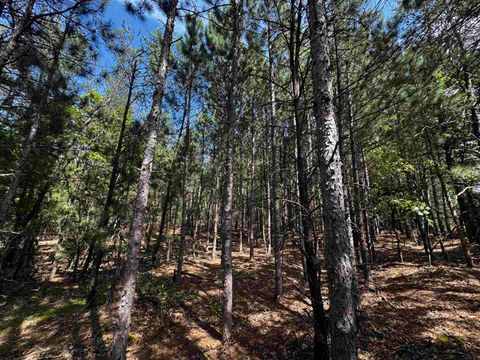 Tiny photo for 40 AC Browndeer Dr W Acres, Arkdale, WI 54613 (MLS # 2009950)