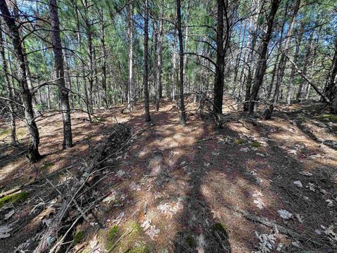 Tiny photo for 40 AC Browndeer Dr W Acres, Arkdale, WI 54613 (MLS # 2009950)