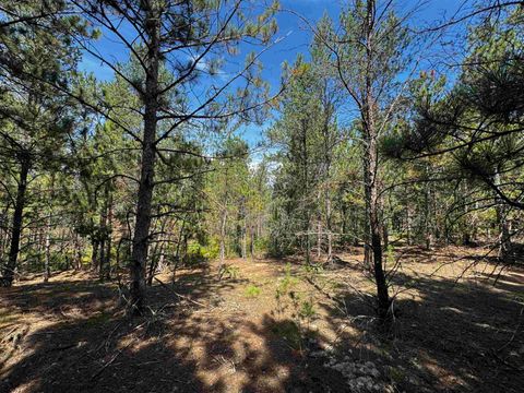 Tiny photo for 40 AC Browndeer Dr W Acres, Arkdale, WI 54613 (MLS # 2009950)