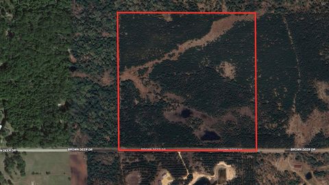 Tiny photo for 40 AC Browndeer Dr W Acres, Arkdale, WI 54613 (MLS # 2009950)