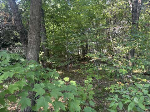 Photo of 250 White Oak Lane, Wisconsin Dells, WI 53965 (MLS # 2029663)