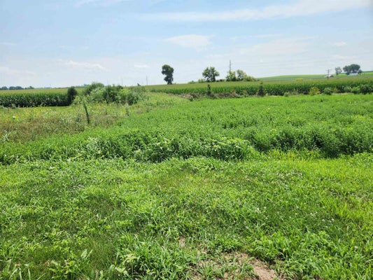 860 VALLEY RD, DANE, WI 53529 - Image ee2115a3d6da6cc45eac45a2ff2a6b12/3247559755