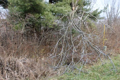 Tiny photo for Lot 40 Dutch Hollow Drive, La Valle, WI 53941 (MLS # 2013035)
