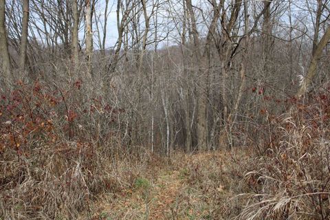 Tiny photo for Lot 40 Dutch Hollow Drive, La Valle, WI 53941 (MLS # 2013035)