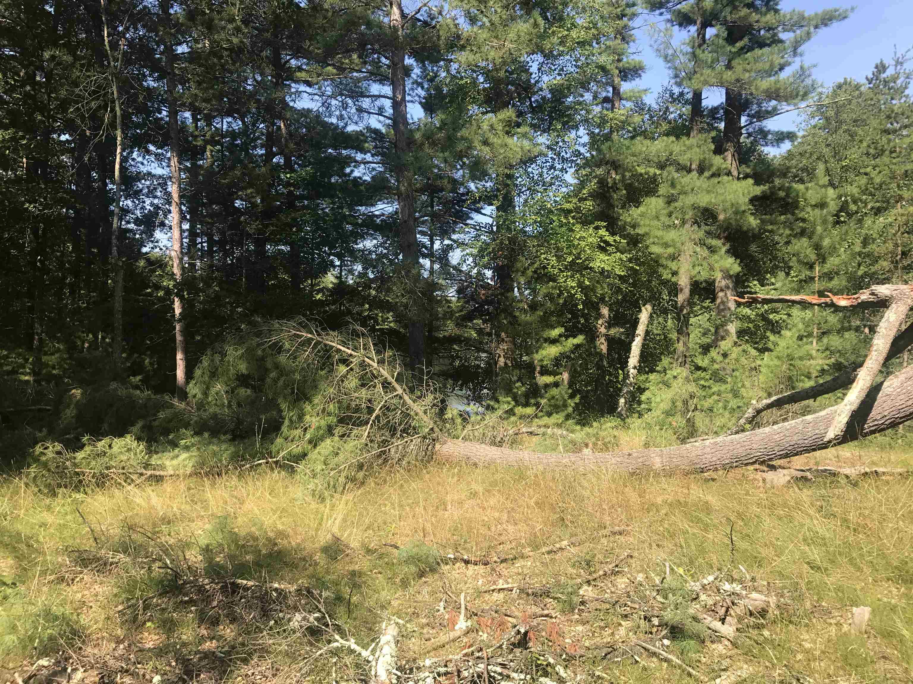 150.61 Ac Fawn Lane