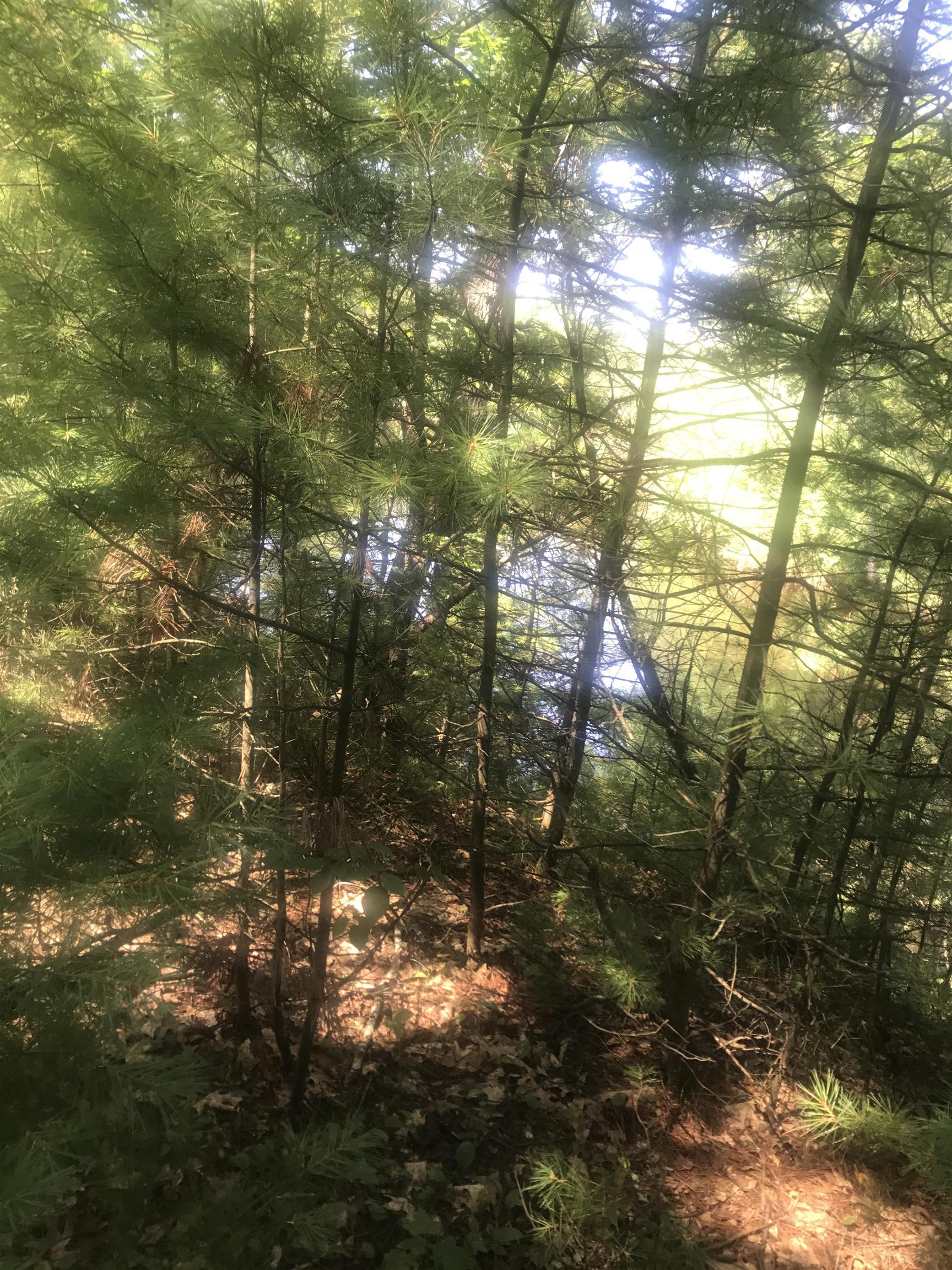 150.61 Ac Fawn Lane