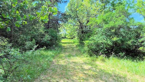 Photo of 12 Acres State Rd 13, Wisconsin Dells, WI 53965 (MLS # 2024896)