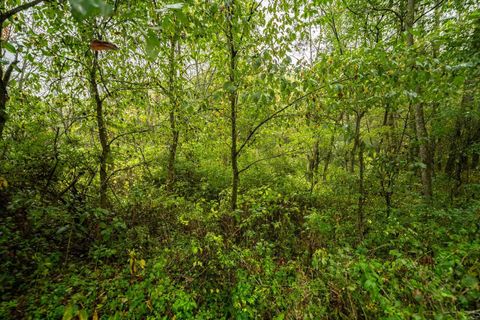 Tiny photo for E11695 Chadwick Hollow Road, Viola, WI 54664 (MLS # 2012989)