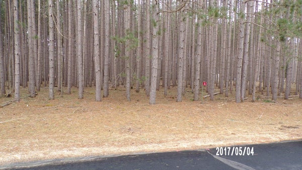 246 WINCHESTER RD, NEKOOSA, WI 54457 - Image f0ad24aba032005e086199d1490d8dee/1541915963
