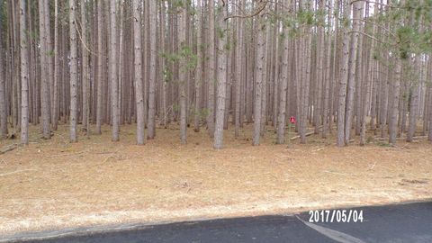 Photo of 246 Winchester Road, Nekoosa, WI 54457 (MLS # 2019989)