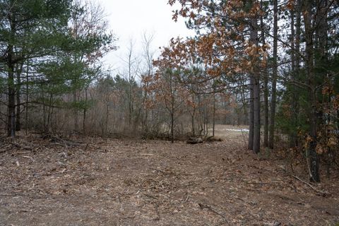 Tiny photo for Lot 9 Ember Drive, Adams, WI 53910 (MLS # 1970957)