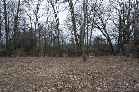 Tiny photo for Lot 9 Ember Drive, Adams, WI 53910 (MLS # 1970957)