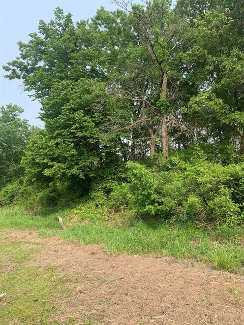 Photo of 1.22 AC Flowage Road, Spring Green, WI 53588 (MLS # 1992408)