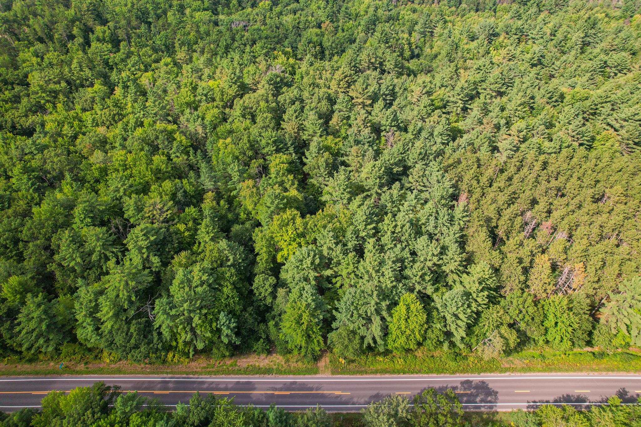 0003 State Hwy 173