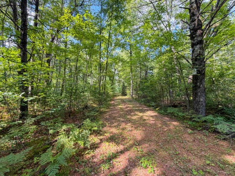 Photo of 0003 State Hwy 173, Wisconsin Rapids, WI 54495 (MLS # 2031943)