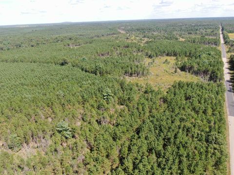 Tiny photo for 40 AC Browndeer Dr E Acres, Arkdale, WI 54613 (MLS # 2009951)