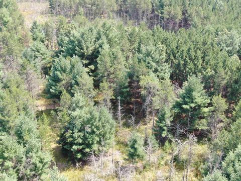 Tiny photo for 40 AC Browndeer Dr E Acres, Arkdale, WI 54613 (MLS # 2009951)