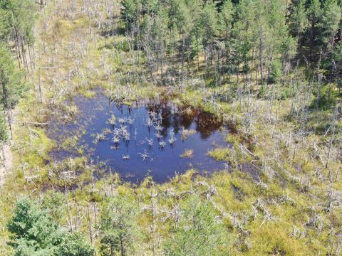 Tiny photo for 40 AC Browndeer Dr E Acres, Arkdale, WI 54613 (MLS # 2009951)