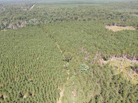Tiny photo for 40 AC Browndeer Dr E Acres, Arkdale, WI 54613 (MLS # 2009951)