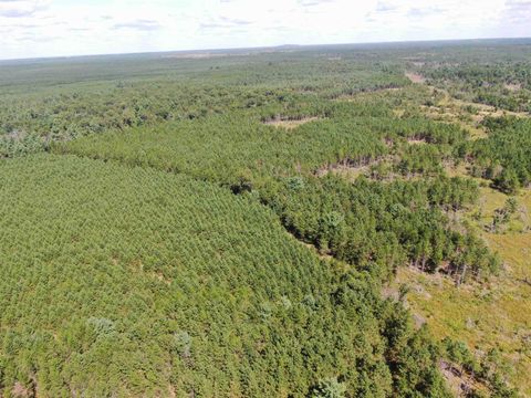 Tiny photo for 40 AC Browndeer Dr E Acres, Arkdale, WI 54613 (MLS # 2009951)