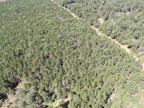 Tiny photo for 40 AC Browndeer Dr E Acres, Arkdale, WI 54613 (MLS # 2009951)