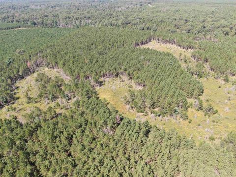 Tiny photo for 40 AC Browndeer Dr E Acres, Arkdale, WI 54613 (MLS # 2009951)