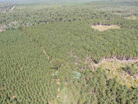 Tiny photo for 40 AC Browndeer Dr E Acres, Arkdale, WI 54613 (MLS # 2009951)