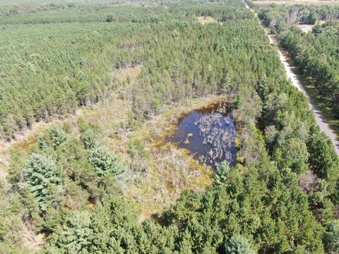 Tiny photo for 40 AC Browndeer Dr E Acres, Arkdale, WI 54613 (MLS # 2009951)
