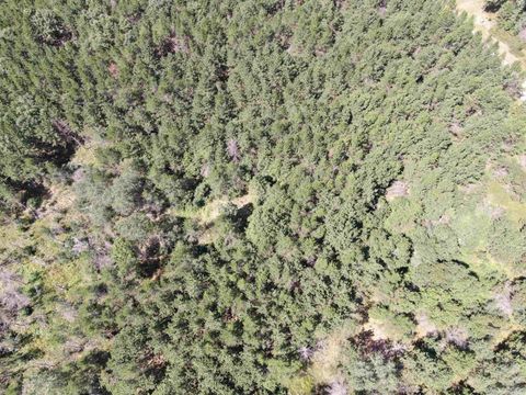 Tiny photo for 40 AC Browndeer Dr E Acres, Arkdale, WI 54613 (MLS # 2009951)