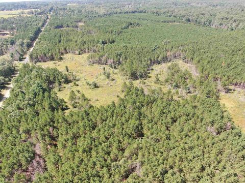 Tiny photo for 40 AC Browndeer Dr E Acres, Arkdale, WI 54613 (MLS # 2009951)