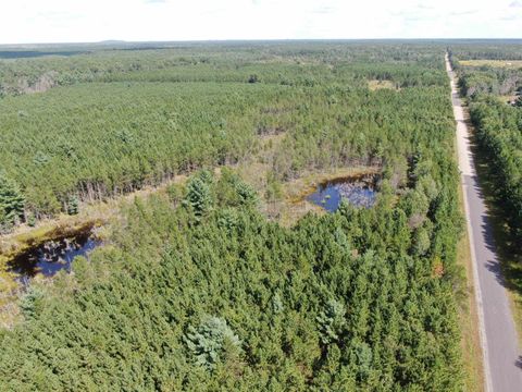 Tiny photo for 40 AC Browndeer Dr E Acres, Arkdale, WI 54613 (MLS # 2009951)