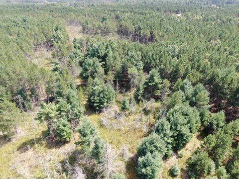 Tiny photo for 40 AC Browndeer Dr E Acres, Arkdale, WI 54613 (MLS # 2009951)