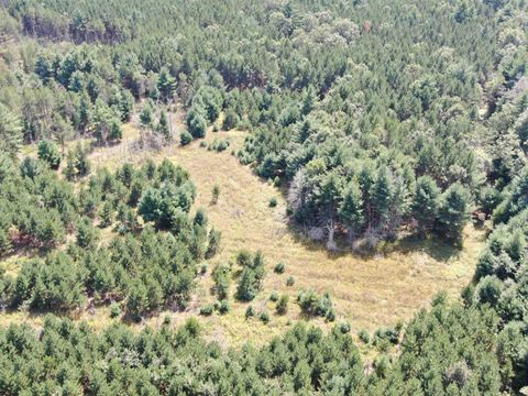 Tiny photo for 40 AC Browndeer Dr E Acres, Arkdale, WI 54613 (MLS # 2009951)