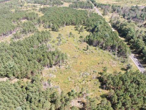 Tiny photo for 40 AC Browndeer Dr E Acres, Arkdale, WI 54613 (MLS # 2009951)