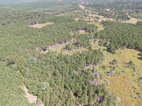 Tiny photo for 40 AC Browndeer Dr E Acres, Arkdale, WI 54613 (MLS # 2009951)