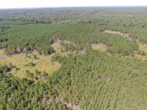 Tiny photo for 40 AC Browndeer Dr E Acres, Arkdale, WI 54613 (MLS # 2009951)