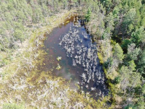 Tiny photo for 40 AC Browndeer Dr E Acres, Arkdale, WI 54613 (MLS # 2009951)