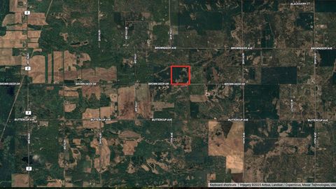 Tiny photo for 40 AC Browndeer Dr E Acres, Arkdale, WI 54613 (MLS # 2009951)