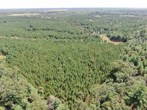 Tiny photo for 40 AC Browndeer Dr E Acres, Arkdale, WI 54613 (MLS # 2009951)