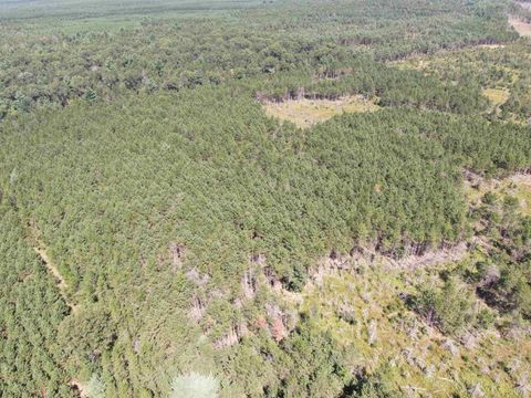 Tiny photo for 40 AC Browndeer Dr E Acres, Arkdale, WI 54613 (MLS # 2009951)