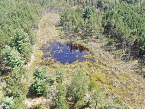 Tiny photo for 40 AC Browndeer Dr E Acres, Arkdale, WI 54613 (MLS # 2009951)