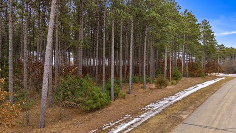 Tiny photo for Lot 49 Longview Point, Nekoosa, WI 54457 (MLS # 1993804)