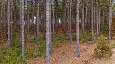 Tiny photo for Lot 49 Longview Point, Nekoosa, WI 54457 (MLS # 1993804)